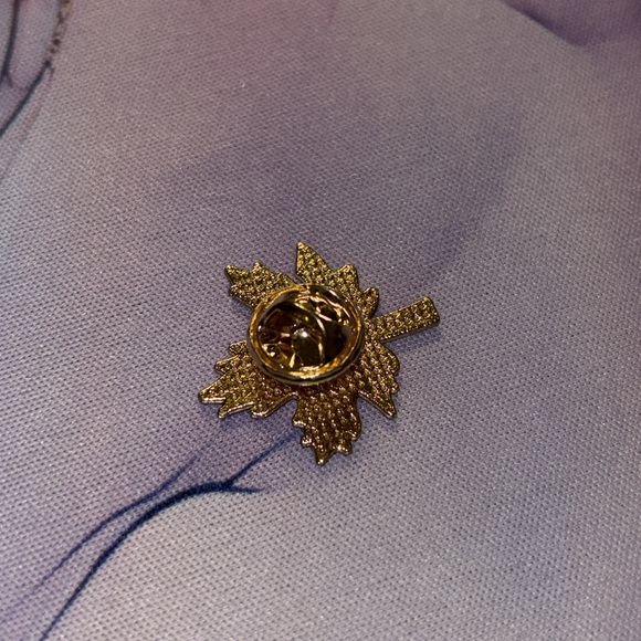 Dark Orange and Gold Fall Maple Leaf Enamel and Metal Pin - Picture 2 of 2